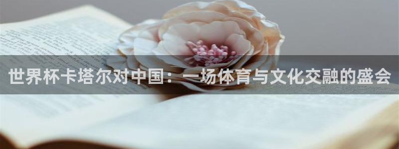 足球世预赛：世界杯卡塔尔对中国：一场体育与文化交融的盛会