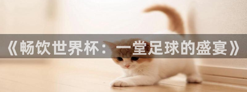 世界杯比赛直播：《畅饮世界杯：一堂足球的盛宴》