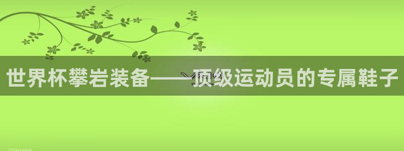 2026世预赛全部赛程：世界杯攀岩装备——顶级运动员的专属鞋子