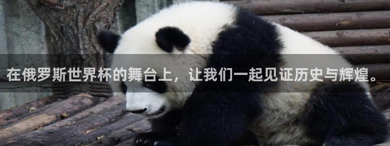 2026男足世界杯：在俄罗斯世界杯的舞台上，让我们一起见证历史与辉煌。