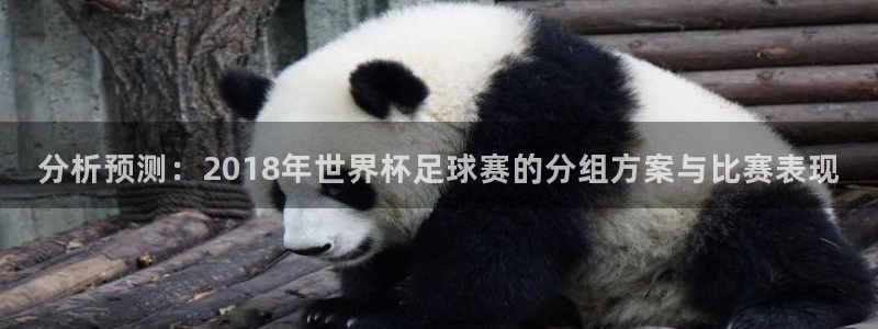 2026世亚预赛赛程表：分析预测：2018年世界杯足球赛的分组方案与比赛表现