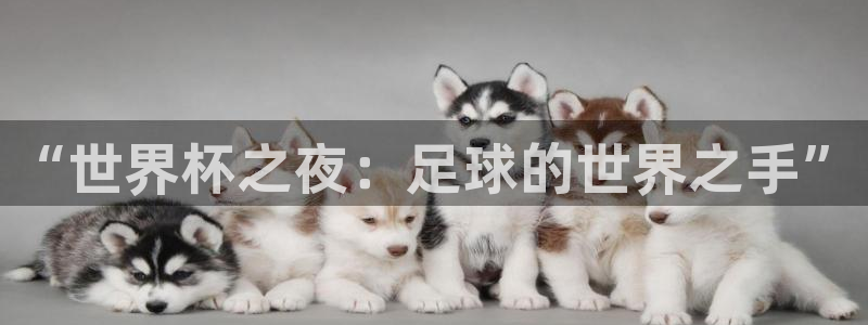 2026年世界杯对阵图：“世界杯之夜：足球的世界之手”