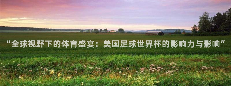 世界杯直播时间:“全球视野下的体育盛宴:美国足球世界杯的影响力与影响”
