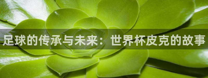 世界杯今年：足球的传承与未来：世界杯皮克的故事
