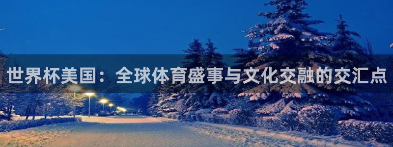 世界杯48支球队赛制:世界杯美国:全球体育盛事与文化交融的交汇点