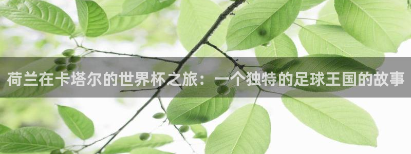 世界杯在线直播:荷兰在卡塔尔的世界杯之旅:一个独特的足球王国的故事