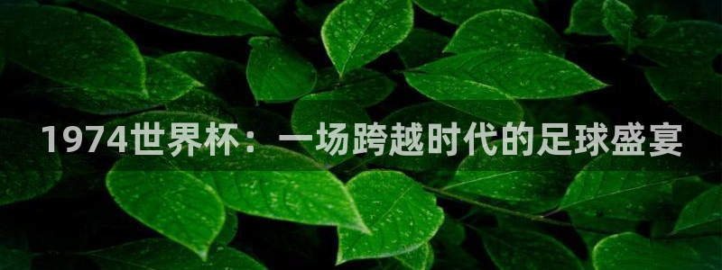 世界杯今日赛程直播：1974世界杯：一场跨越时代的足球盛宴