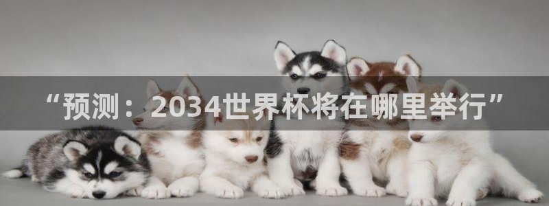 世界杯足球比赛：“预测：2034世界杯将在哪里举行”